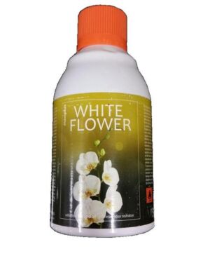 Maxi White Flower 243ml (12)
