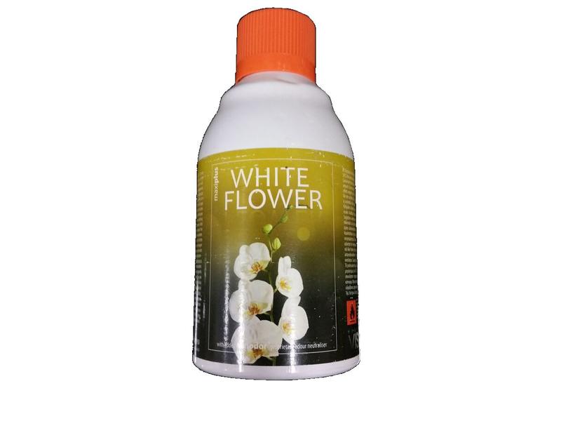 Maxi White Flower 243ml (12)