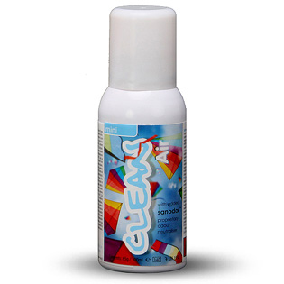 Mini Fragrance Aerosols (100 ml)